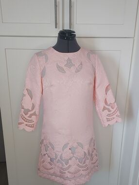 Elegant Pink Lace Cutout Dress